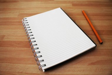 boş bir kalem ile yazılabilir defter