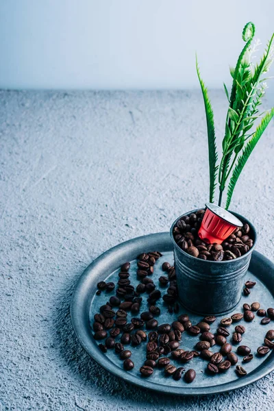 Renkli kahve çekirdekli organik kahve kapsülü. Renk karşıtlığı. Boşluğu kopyala
