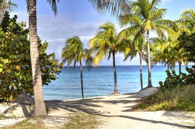 Varadero beach Küba'da