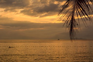 Sıcak ve sarı bir öğleden sonra gökyüzü, sağ üstte hindistan cevizi palmiyesi yaprağı..
