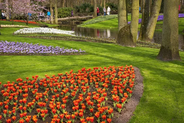 Lisse, Zuid-Holland / Nederländerna - April 2,2016: Keukenhof, en av världens största blomma trädgårdar, är är mycket fin på våren — Stockfoto