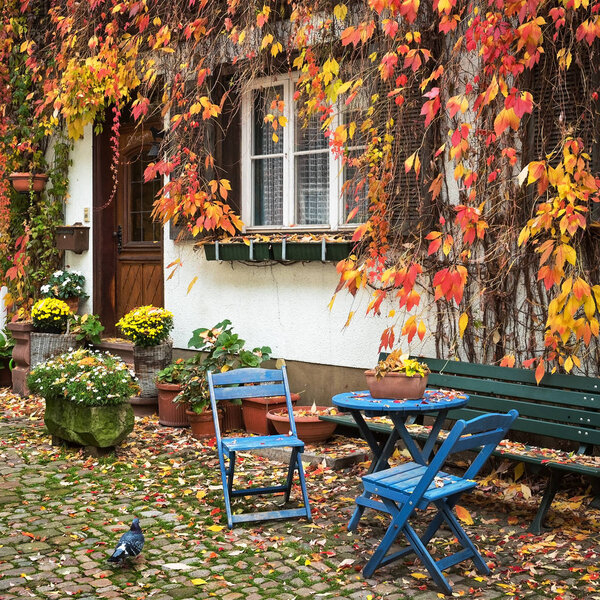 Two chairs and a small table near the house, overgrown with virginia creeper,  autumn, Germany