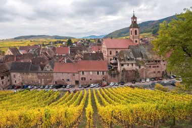 Sonbaharda, Alsace sarı üzüm Riquewihr görünümünden; Fransa