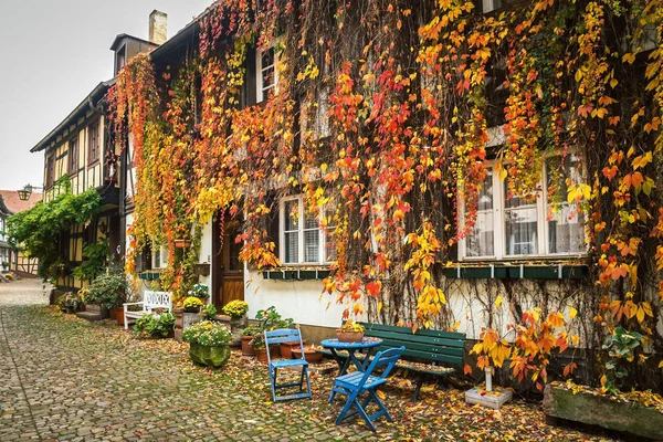Piccola strada in una città tedesca con una casa, ricoperta di verginia creeper, Germania — Foto Stock