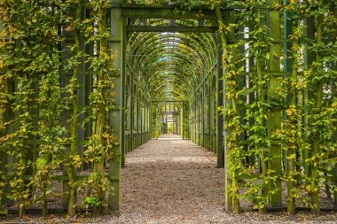 Berceau içinde Sarayı Bahçe in Het Loo, Hollanda