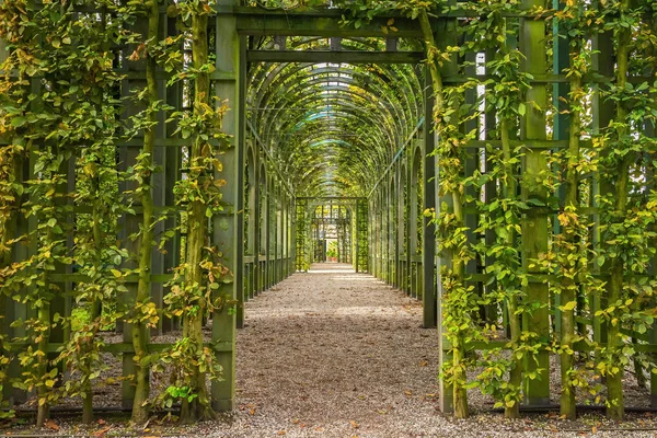 Berceau içinde Sarayı Bahçe in Het Loo, Hollanda