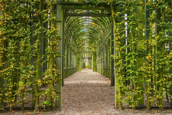 Berceau i den palace garden av Het Loo, Nederländerna — Stockfoto