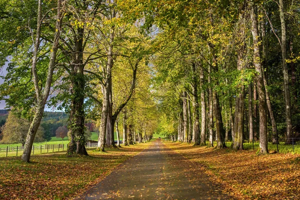 Park alley of the Blair castle in autumn — Stock Photo, Image