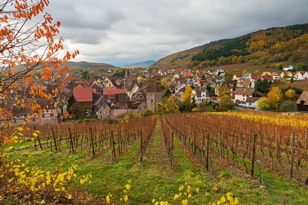 Blick auf die Weinberge und das Dorf riquewihr vom Hügel im Spätherbst, Elsass, Frankreich — Stockfoto