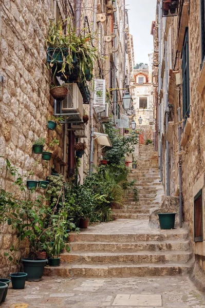 De smalle straat in de oude binnenstad van Dubrovnik, Kroatië — Stockfoto