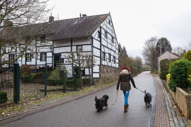 Bir kadın iki köpek ile Limburgish Köyü, Hollanda yürür