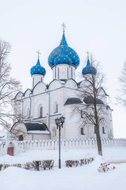 Kışın doğumun güzel Suzdal Katedrali, Rusya