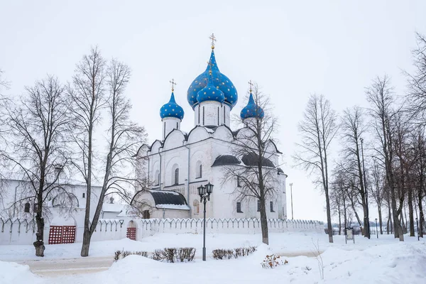 Pohled na historickou katedrálu Narození dítěte Suzdal v zimě, Rusko — Stock fotografie