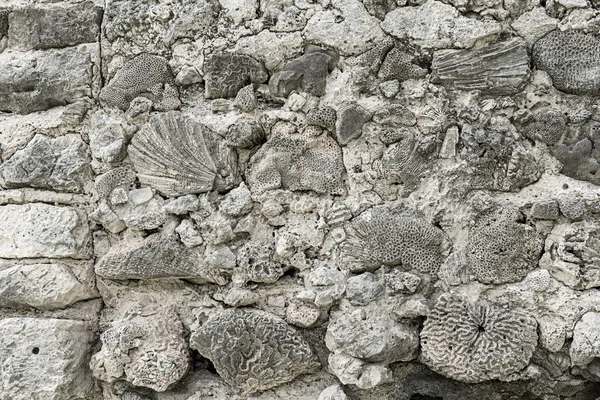 Parede da fortaleza feita de pedras de coral — Fotografia de Stock