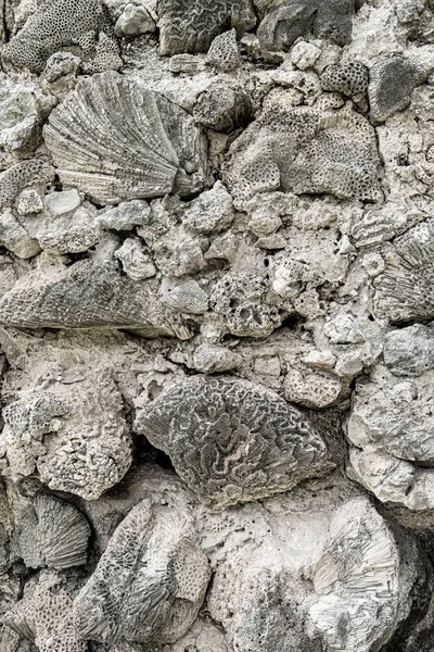 Parede de fortaleza feita de pedras de coral — Fotografia de Stock
