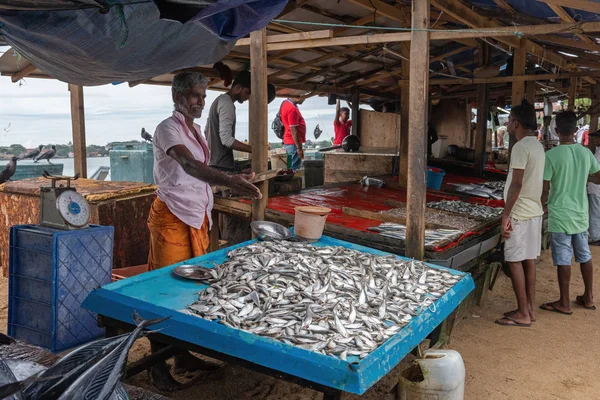 GALLE, SOUTHERN PROVINCE / SRI LANKA - NOVEMBRO 29, 2019: O vendedor-pescador oferece aos clientes seus peixes — Fotografia de Stock