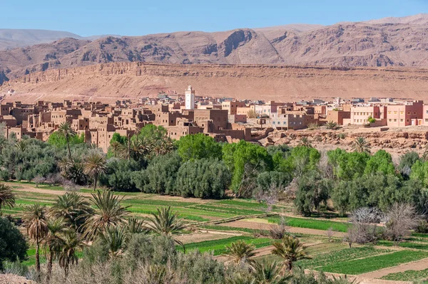 Scenic View Large Oasis Atlas Mountains Stock Image