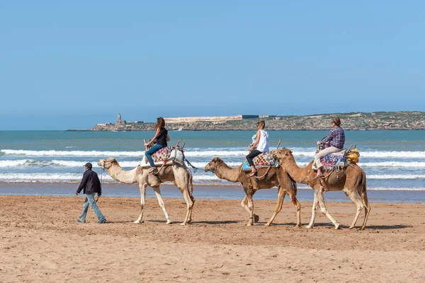 Essaouira Morocco Março 2014 Grupo Turistas Passeio Camelo Longo Oceano — Fotografia de Stock