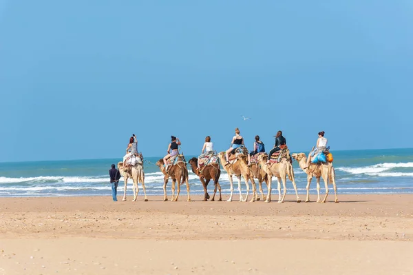 Essaouira Morocco Março 2014 Passeio Camelo Turistas Longo Oceano — Fotografia de Stock