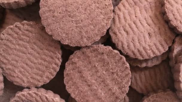 Biscoitos de chocolate seco. fiação — Vídeo de Stock
