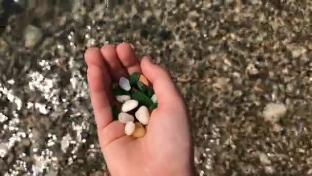 Pierres de mer colorées dans une main d'enfant — Video