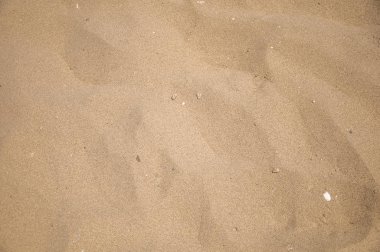 Sahilde kum dokusu. ince kum.