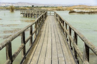 İspanya ahşap yürüme yolu