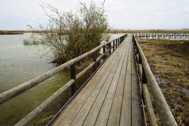 İspanya ahşap yürüme yolu