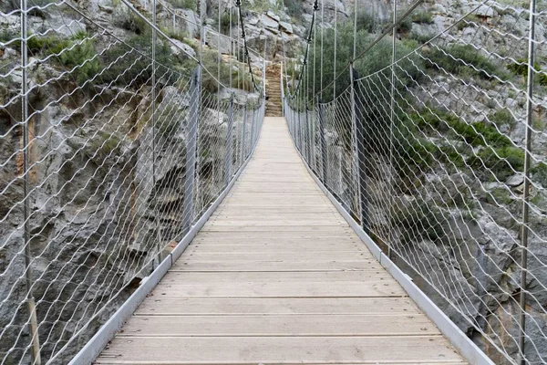 Ponte de suspensão no parque natural — Fotografia de Stock