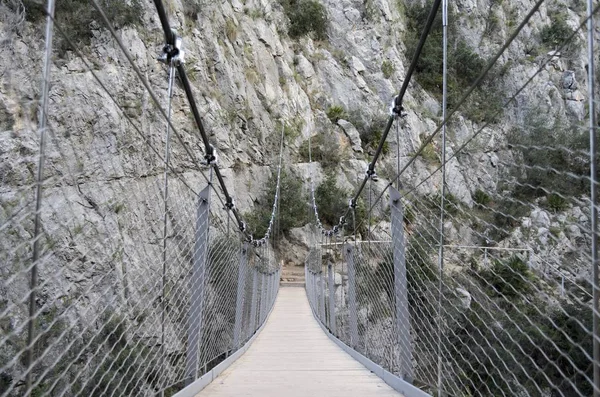 Hängebrücke im Naturpark — Stockfoto