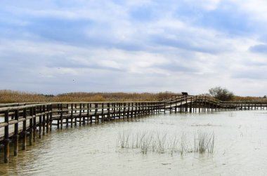 İspanya ahşap yürüme yolu