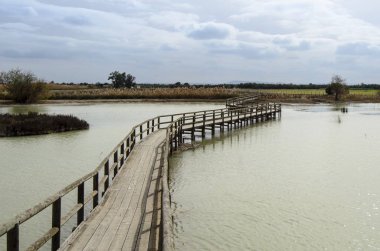 İspanya ahşap yürüme yolu