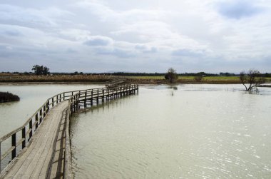 İspanya ahşap yürüme yolu