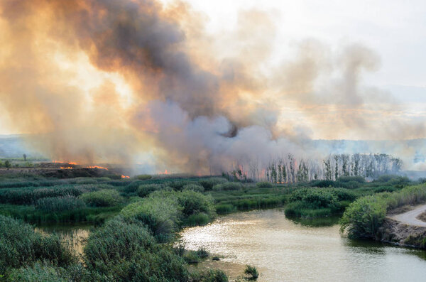 Огонь, вызванный разрушением людей
.