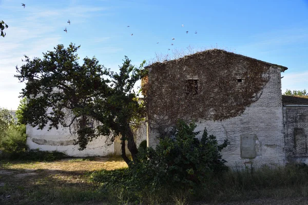 Casa vieja abandonada —  Fotos de Stock