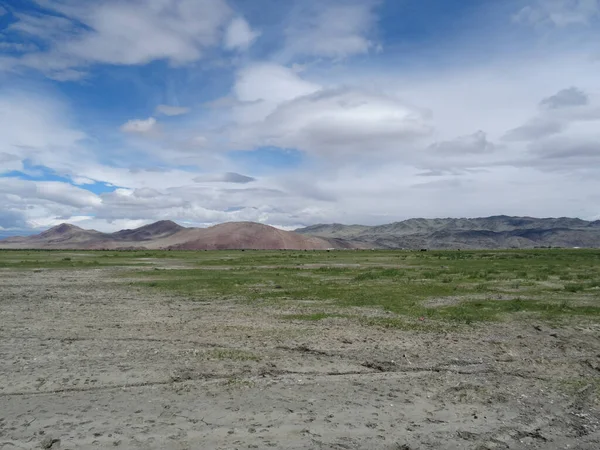 看到部分覆盖着青草 明亮蓝天和低云的蒙古草原 — 图库照片