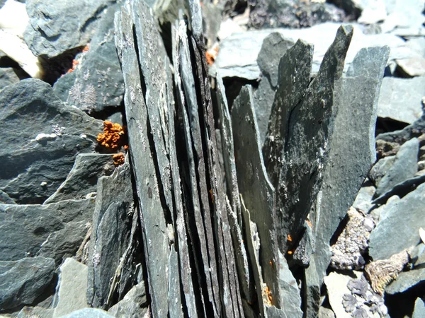 Cinza Lajes Finas Pedra Que Parecem Com Penas Close — Fotografia de Stock