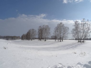 kış günü mavi gökyüzü kar beyazı tarla karla kaplı ve huş ağaçlarının gölgeleri