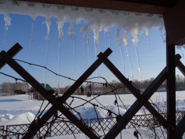 Parlak şeffaf buz sarkıtları, mavi gökyüzü ve karın arka planında kuru bitki dallarıyla sarkıyor.