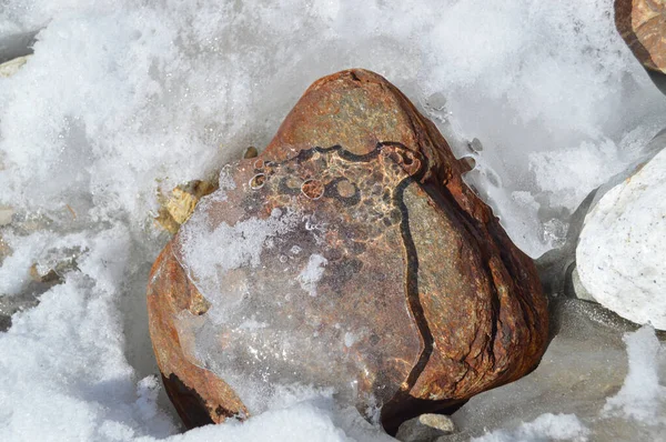 under the transparent crust of ice in the snow, the stone is rusty-brown