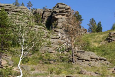 Tahtadan yapılmış bir merdiven sıra dışı şekilli yüksek bir kayaya yükselir. Ağaçlar, huş ağaçları ve çam ağaçları etrafında yetişir.