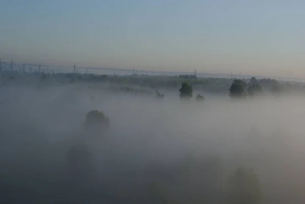 Top view of tree tops and power line poles sticking out from under dense fog
