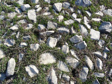 Gri çakıl taşından yapılmış bir yolun yay yeşili çimlerle kaplı bir kısmına yakın.