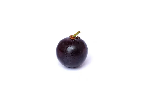 Close up of brunches black seedless grapes — Stock Photo, Image