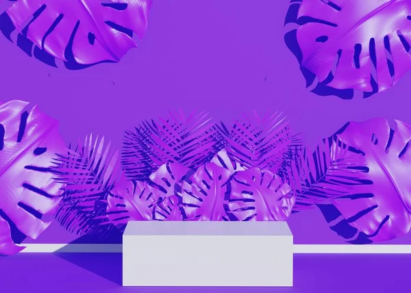 Abstrakcyjna Minimalna Geometria Pokaz Mody Podium Tropikalnymi Liśćmi Palmy Cienie — Zdjęcie stockowe