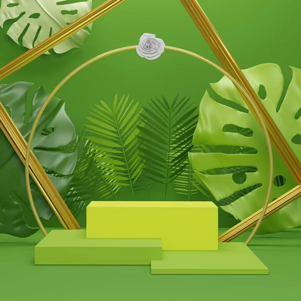 Абстрактная Минимальная Геометрическая Подиум Модного Шоу Тропическими Пальмовыми Листьями Растением — стоковое фото