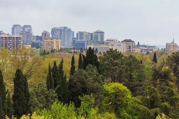 Sochi, Russia - May 2015. Urban infrastructure and the nature of the city — Stock Photo, Image