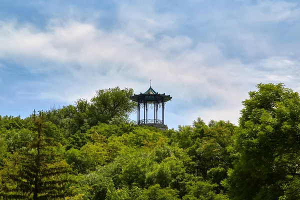 Pyatigorsk. Zvetnik. Árbol chino — Foto de Stock