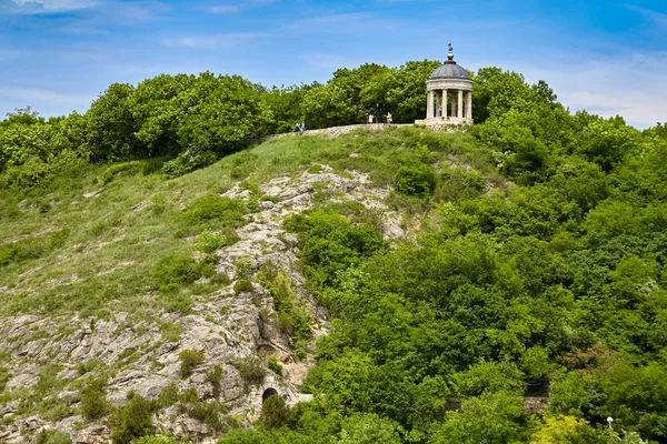 Pyatigorsk. Mount Mashuk. Ağaç dikme 