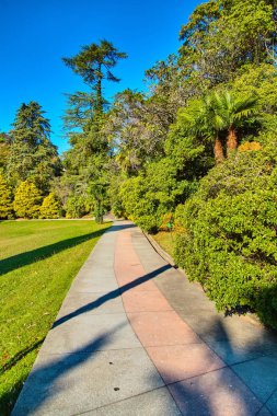 Sochi. Milli Park Botanik Bahçesi. Sonbahar